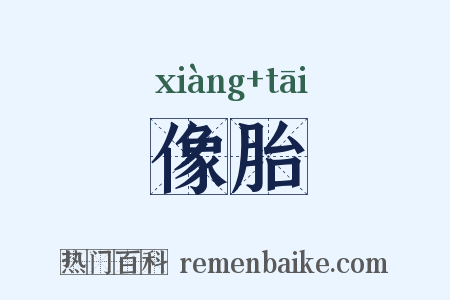 像胎是什么意思的图片